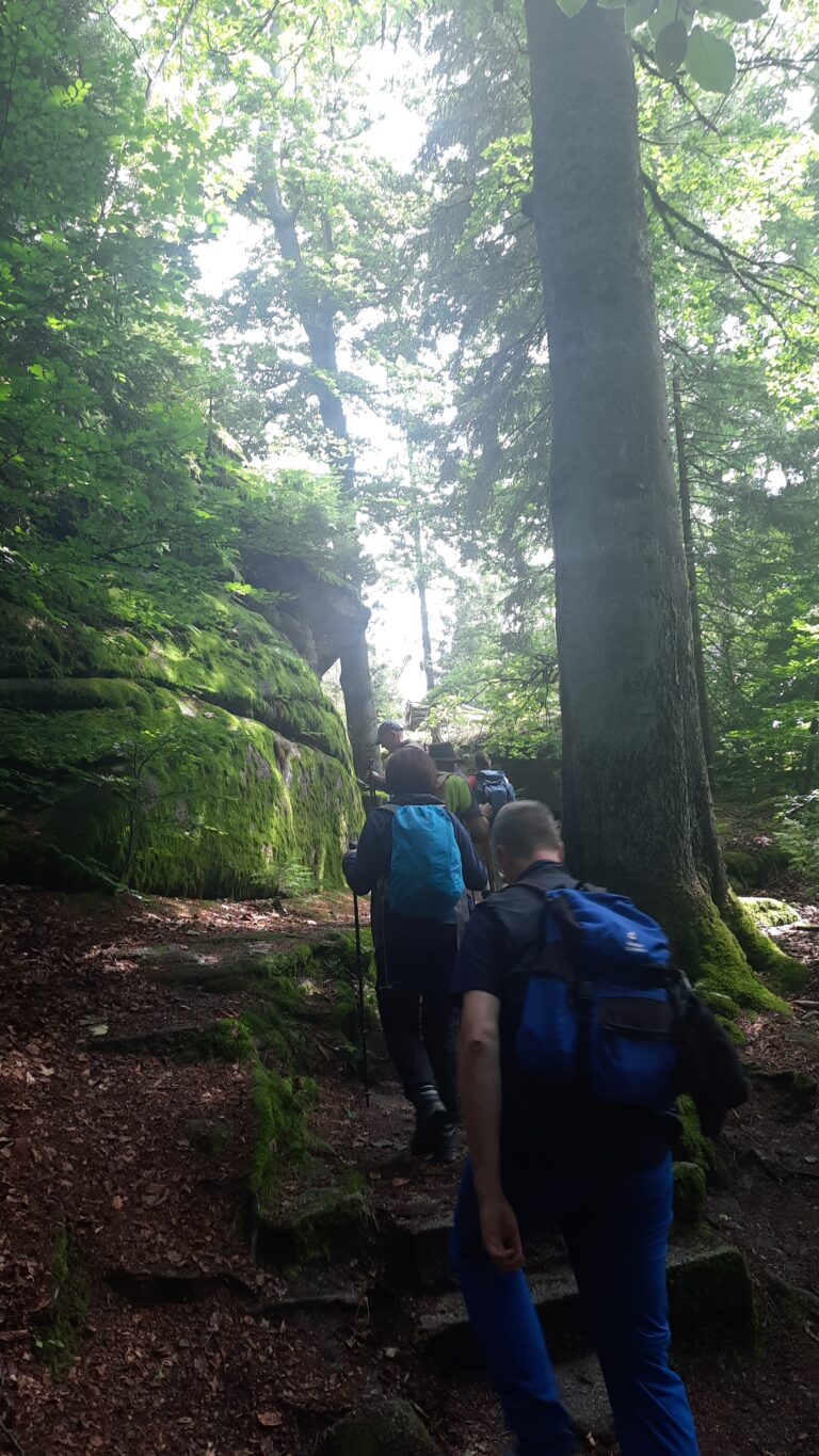 IMG-20250802-WA0029