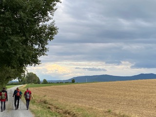 IMG_4981